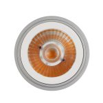 AR111 G53 Sockel 16W Spotlight mit externem Treiber (5)