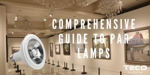 Blog Image Comprehensive Guide to PAR Lamps