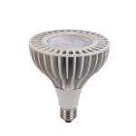 PAR38 E27底座LED聚光灯可控硅调光22W（1）