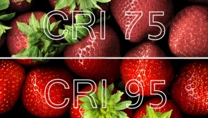 CRI 75 vs CRI 95 comparison showing color accuracy differences in strawberries.
