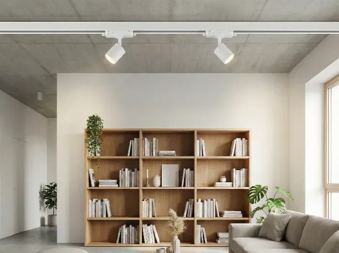 Contemporary living room with wooden bookshelf filled with books and plants, overhead white track lighting, and beige sofa against white walls.