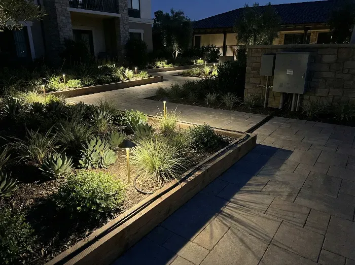 A nighttime landscape featuring a winding stone path illuminated by low lights, surrounded by succulents, grasses, and shrubs in a modern courtyard setting.