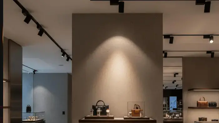 Modern boutique interior with beige walls, wooden display cases showcasing elegant leather handbags, and soft spotlight lighting from ceiling tracks.