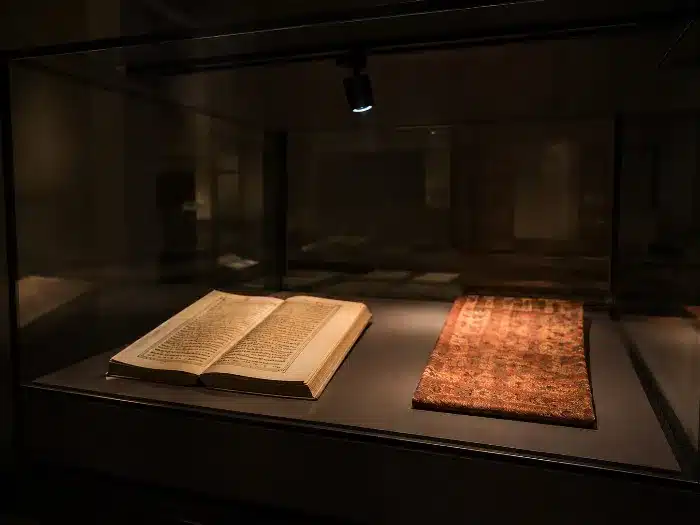 museum LED track lighting and display case lighting system
